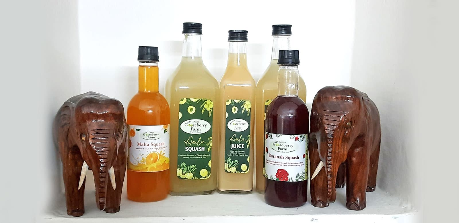 Doon Gooseberry Farm - Farm-Fresh Gooseberry Products from the Himalayas