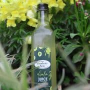 Amla Juice - Thumbnail 2