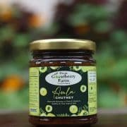 Amla Chutney - Thumbnail 3