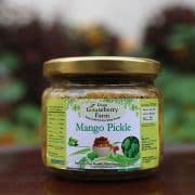 Mango Pickle - Thumbnail 2